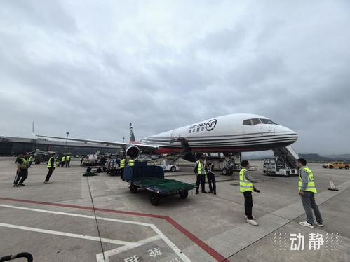 貴陽(yáng)往返印度的兩條國(guó)際貨運(yùn)航線(xiàn)今年運(yùn)送貨物近1000噸